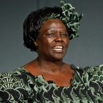 Lifestyle Nobeldonne Wangari Maathai 2004