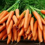 Bunches of organic carrots on a farmer market. Shallow depth of field.