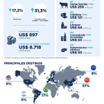 Informe